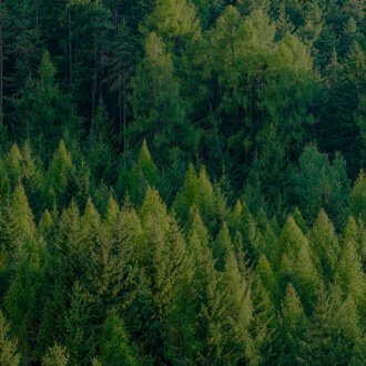 yl23455永利(中国)股份有限公司官网